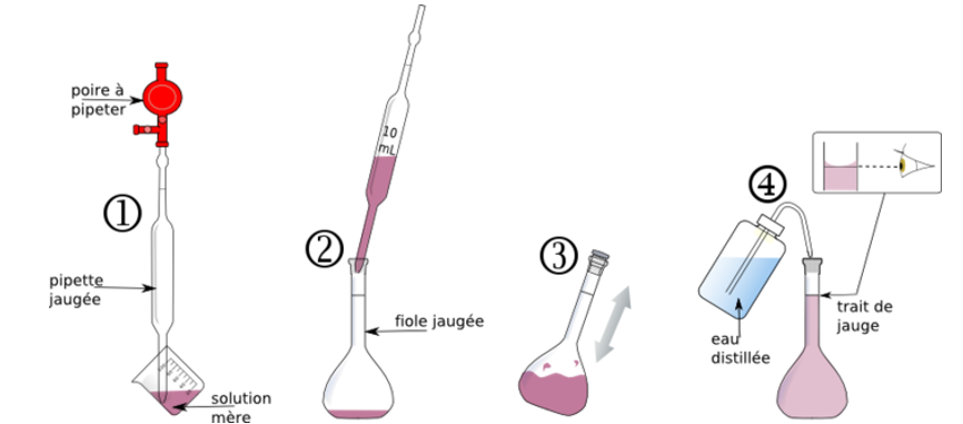 Protocole de la dilution