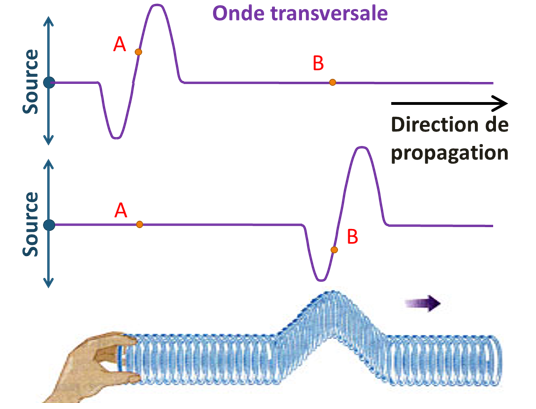 Onde transversale